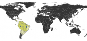 Distribución geográfica de la Paraponera clavata