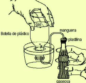 experimento extracción del gas de un refresco coca cola