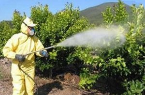 insecticidas fumigación talio tóxico 