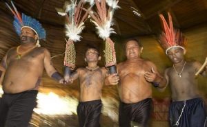 ritual en la tribu amazónica Sateré-Mawé