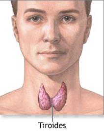 tiroides bocio yodo